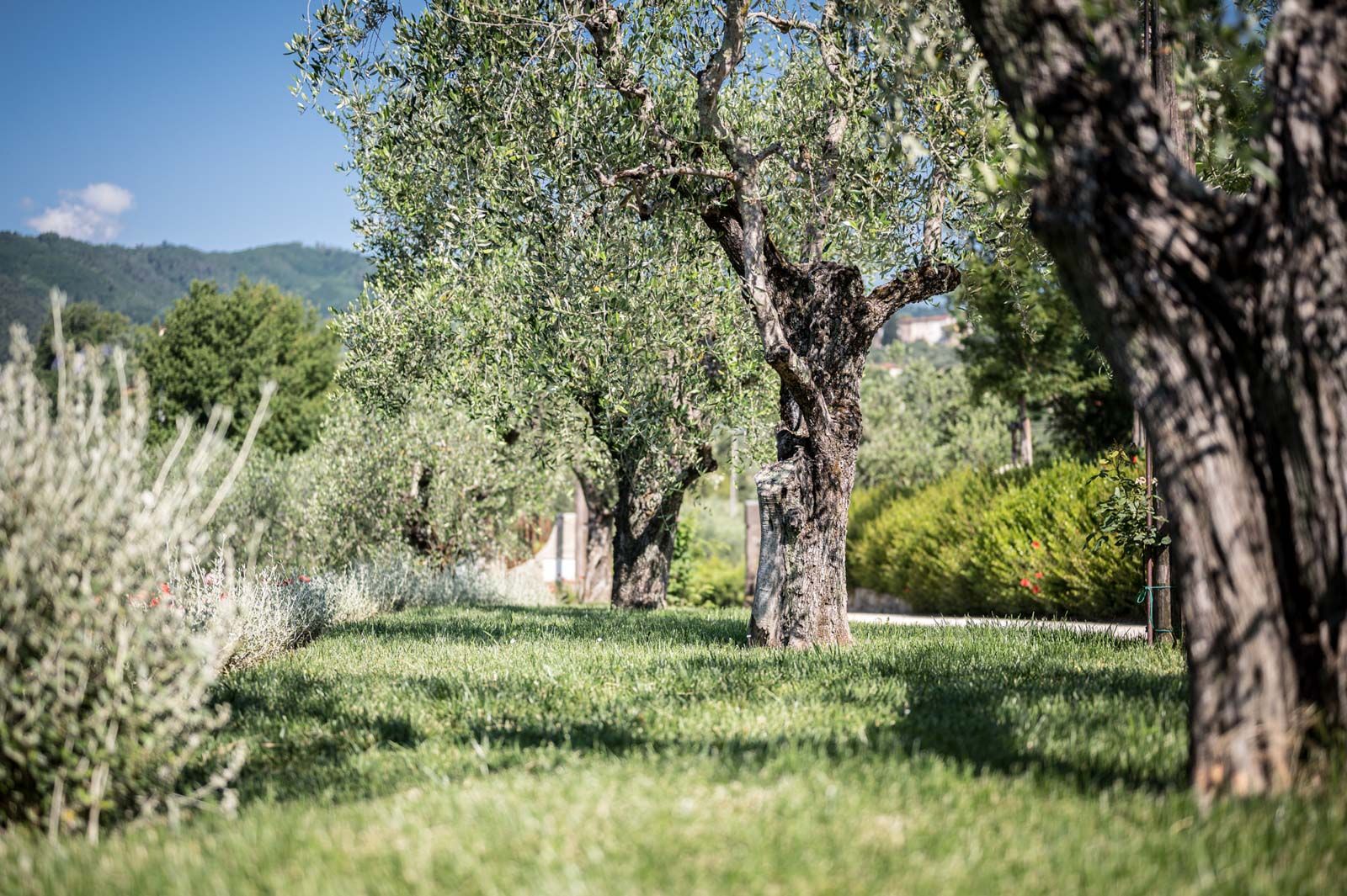 azienda agricola terre di cocomo