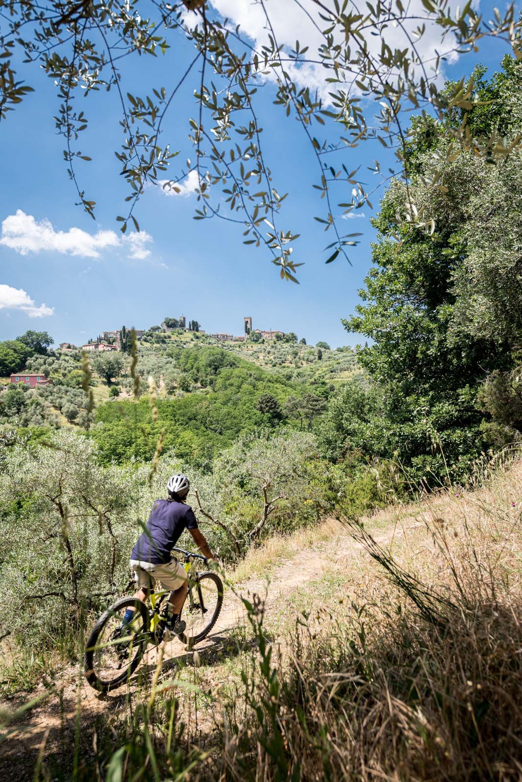 esperienze in mountain bike