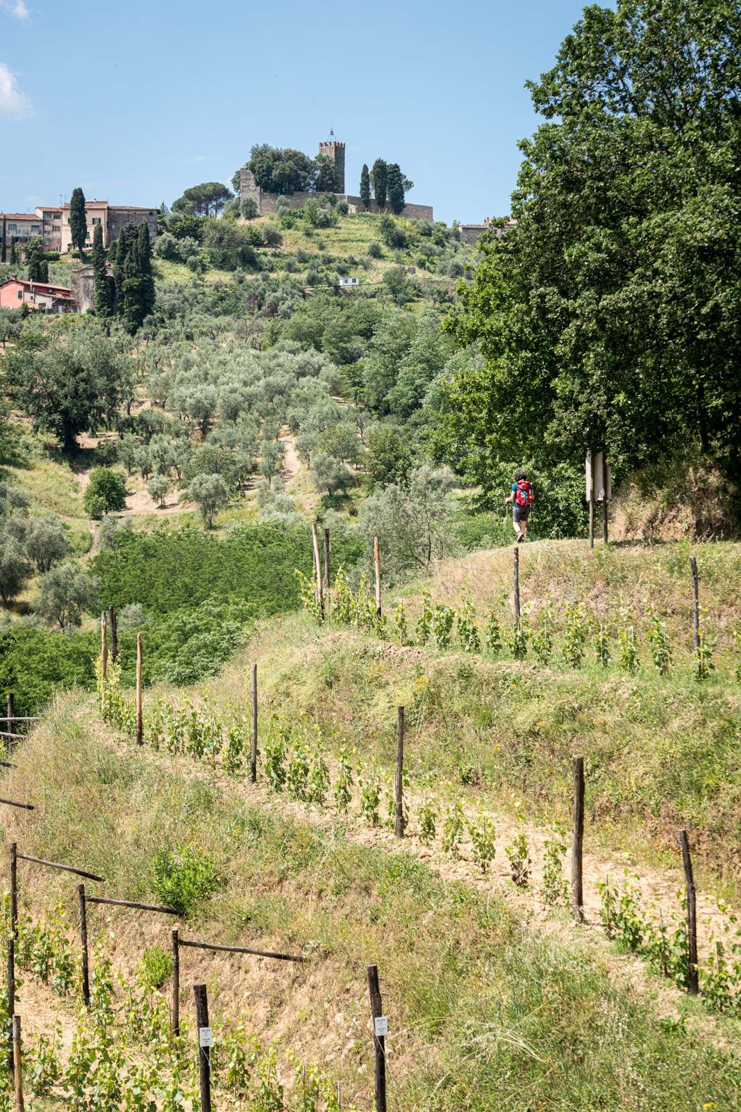 camminate nella campagna toscana